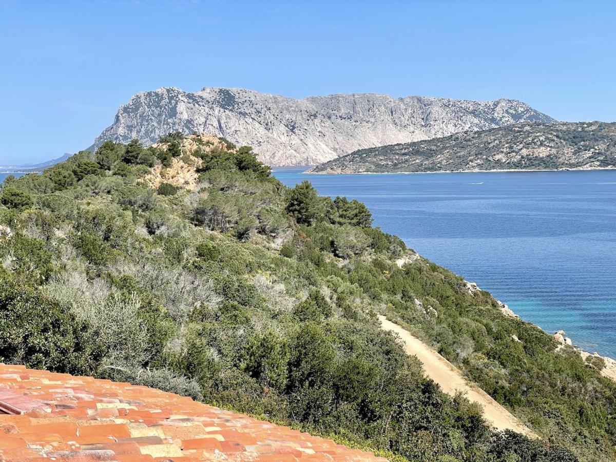 San Teodoro Punta Est Fantastico Trilocale Vista Mare Lejlighed Capo Coda Cavallo Eksteriør billede