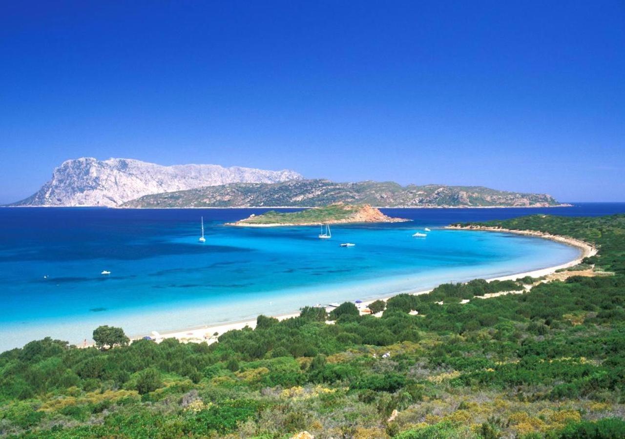 San Teodoro Punta Est Fantastico Trilocale Vista Mare Lejlighed Capo Coda Cavallo Eksteriør billede